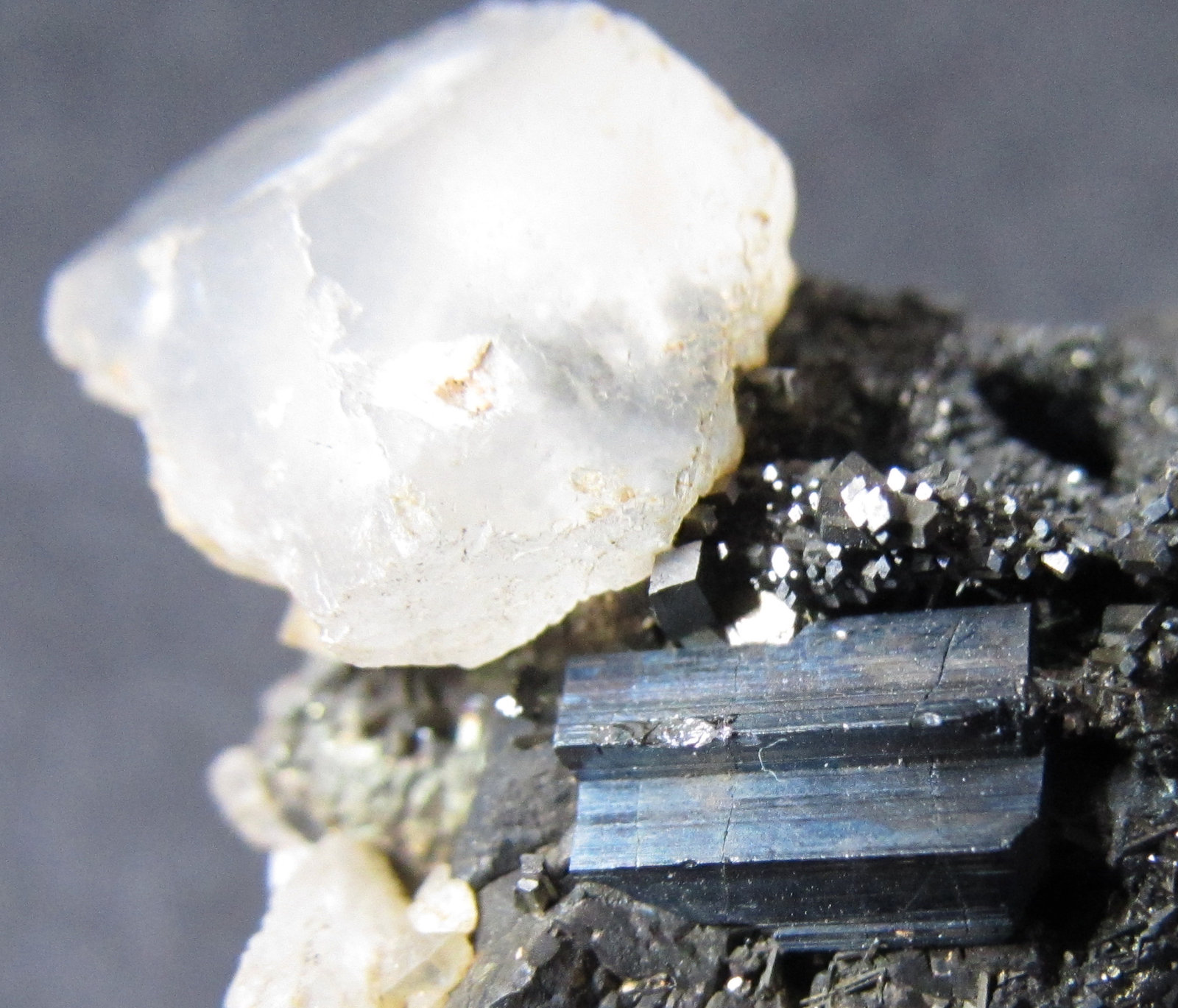 Bournonita y Calcita
2 cm. ancho de campo
(Autor: prcantos)