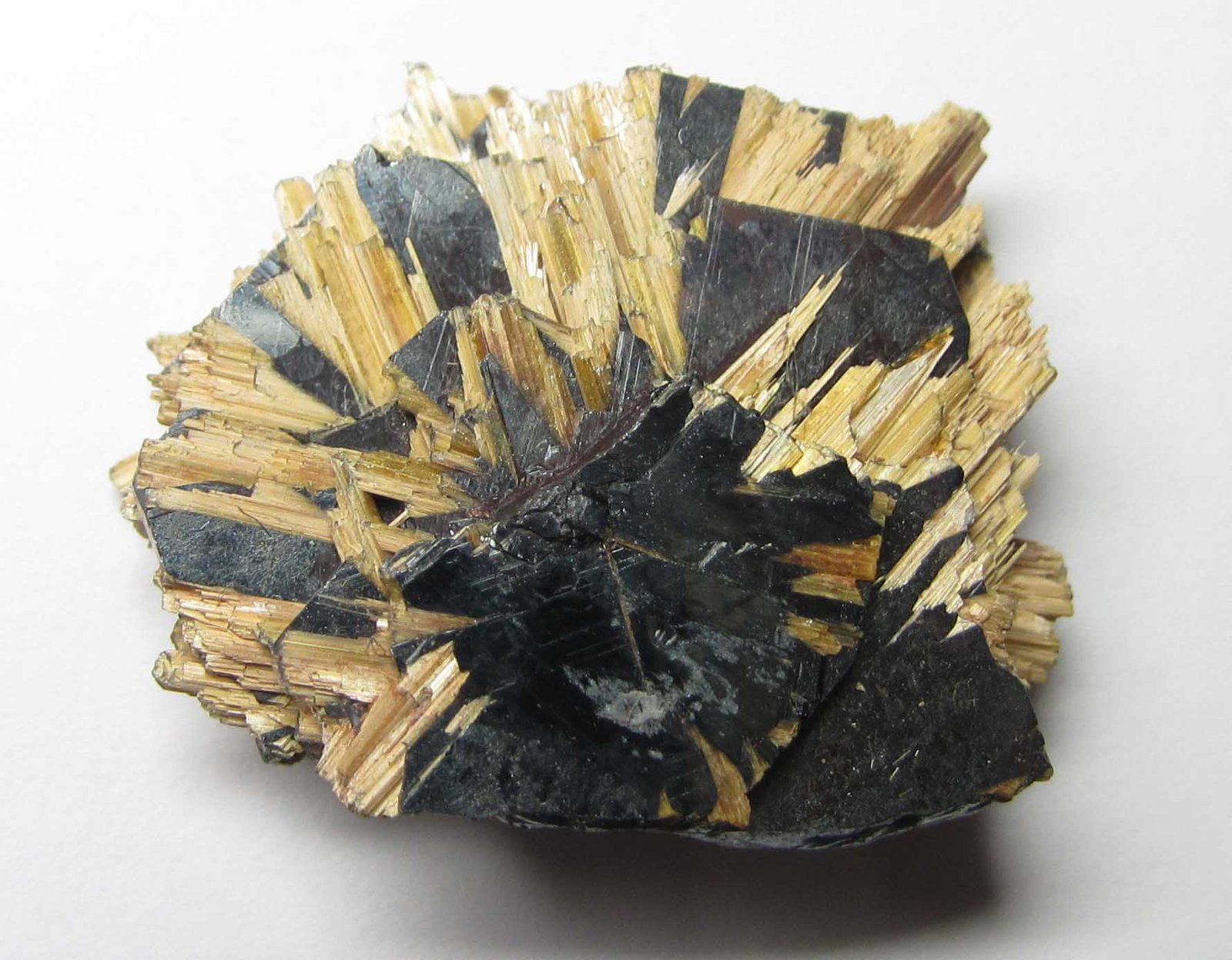 Rutilo epitaxial sobre Hematites
2'5 x 2'5 cm.
(Autor: prcantos)