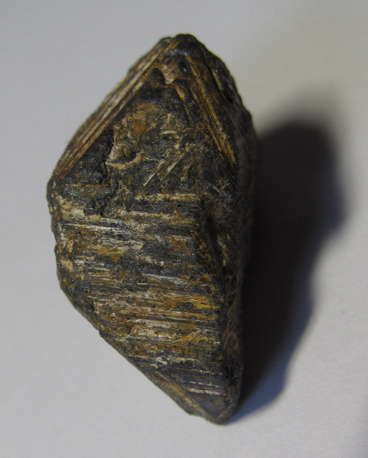 Magnetita
12 x 25 mm.
(Autor: prcantos)