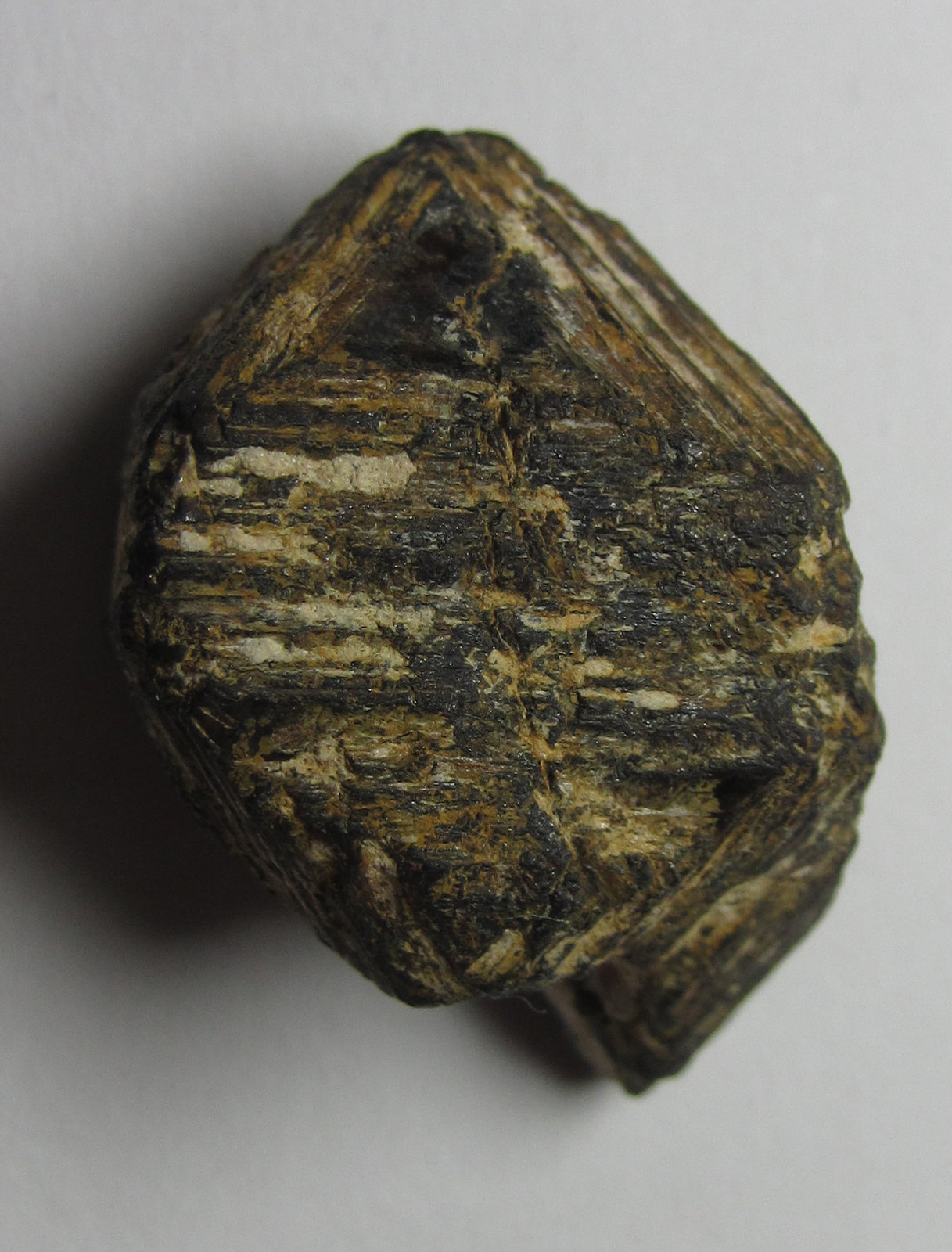 Magnetita
17 x 25 mm.
(Autor: prcantos)