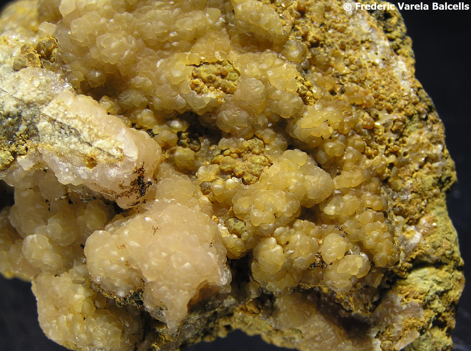 Smithsonita
Encuadre 3 x 2 cm.
(Autor: Frederic Varela)