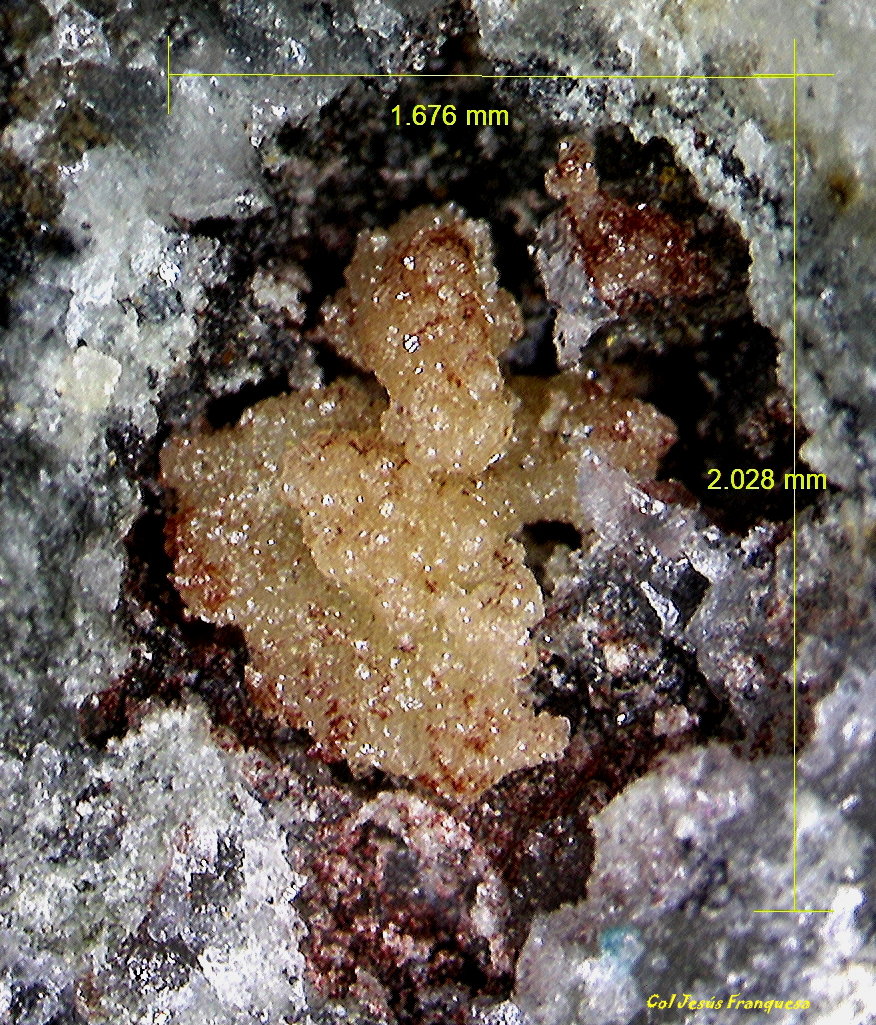 Smithsonita.
2´028 x 1´676 mm.
(Autor: Jesus Franquesa Baucells)