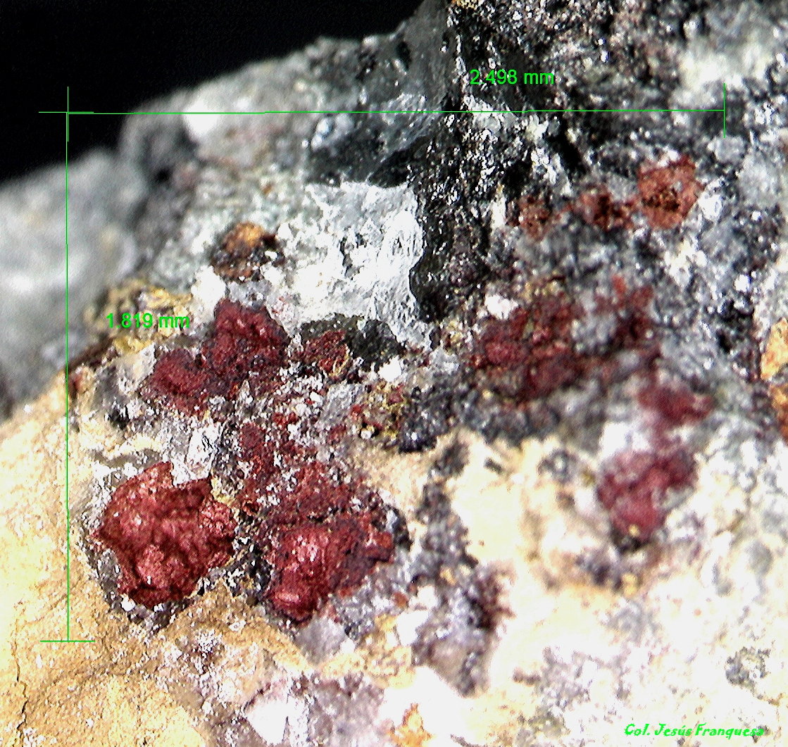 Smithsonita.
2´498 x 1´819 mm.
(Autor: Jesus Franquesa Baucells)