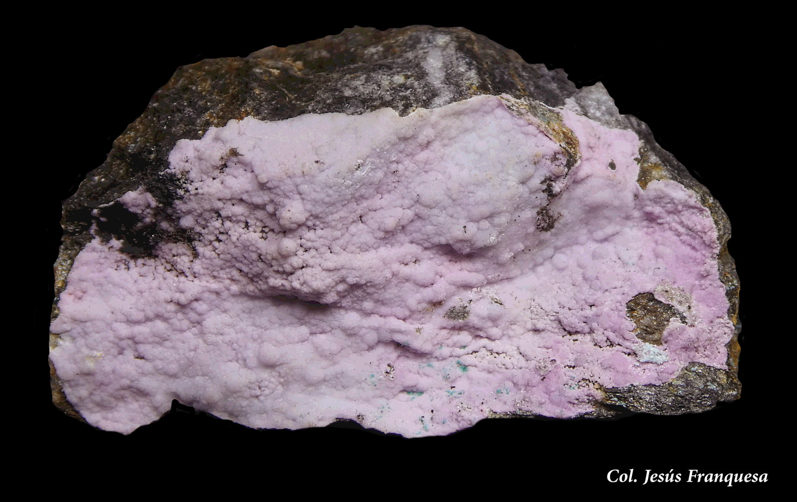 Smithsonita (variedad cobaltífera)
33x17 mm.
(Autor: Jesus Franquesa Baucells)