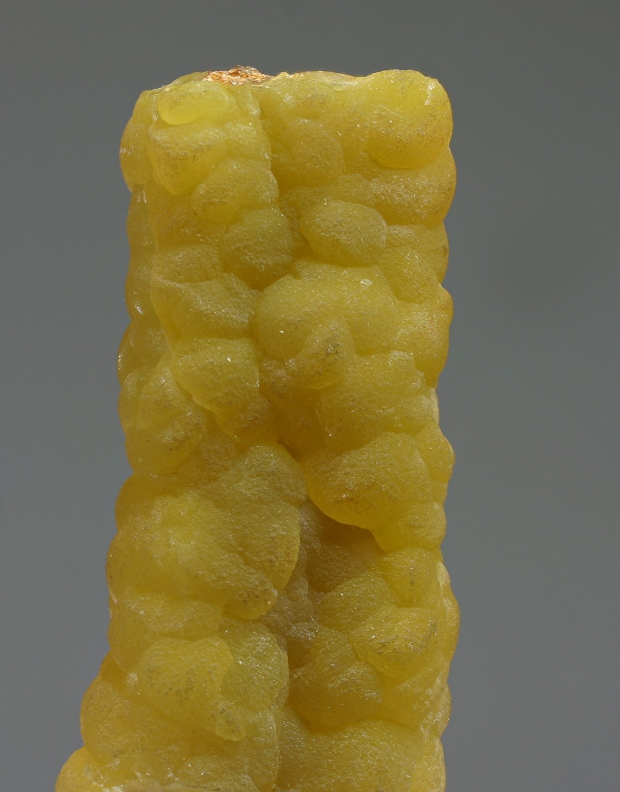 Smithsonita
28x60 mm
(Autor: Ramon A  Lopez Garcia)