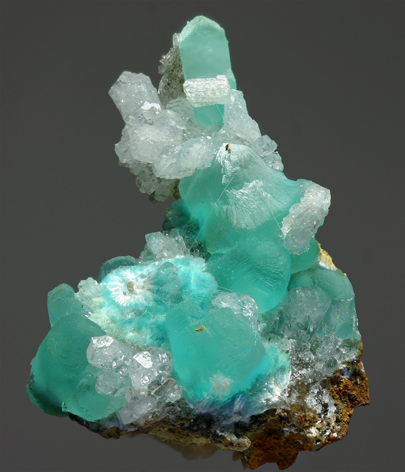 Smithsonita
20x30mm
(Autor: Ramon A  Lopez Garcia)