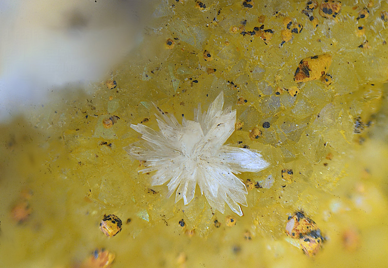 Hemimorfita
Campo de visión de 5 mm.
(Autor: Antonio Carmona)