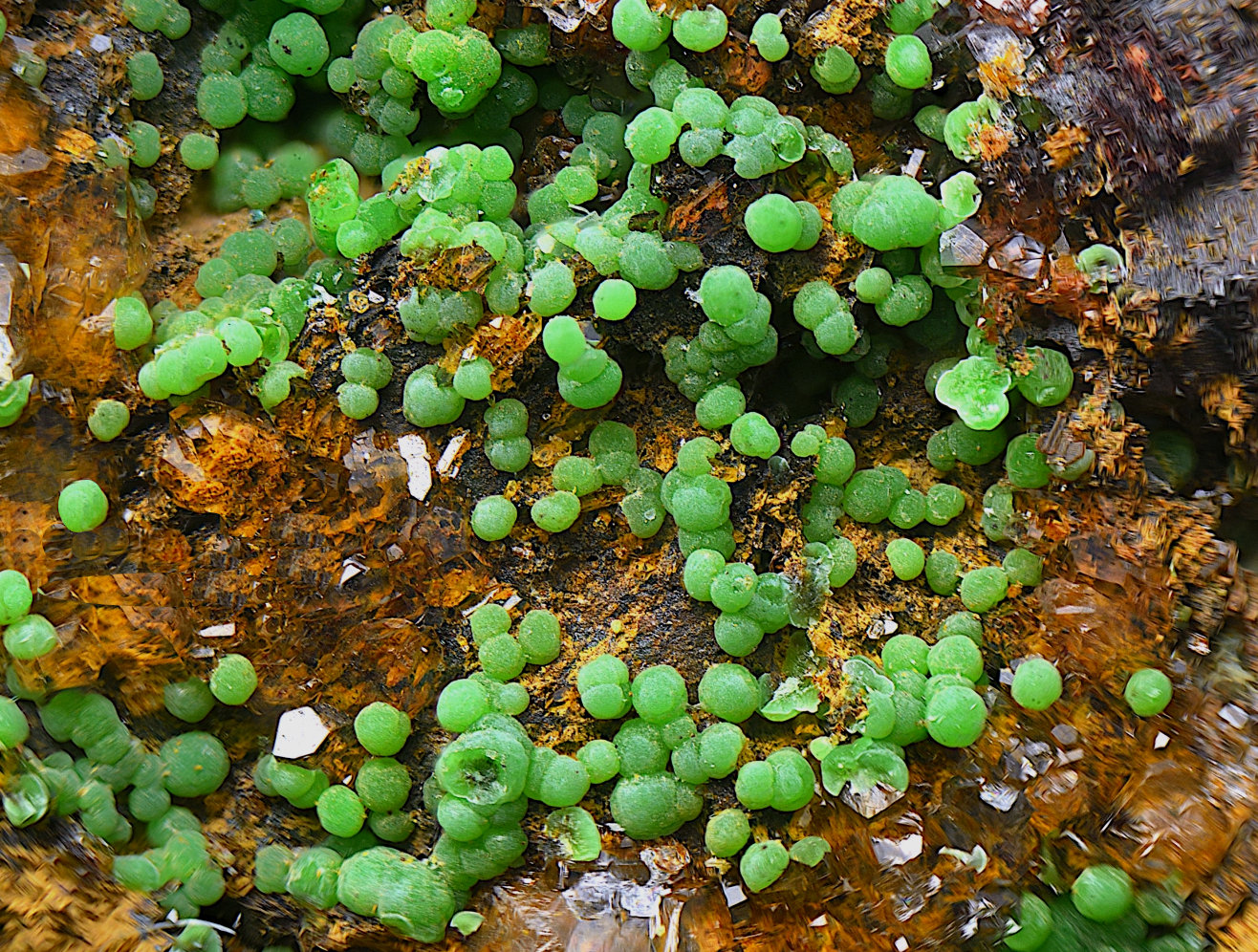 Conichalcita (Conicalcita)
Campo de visión 5 mm.
(Autor: Antonio Carmona)