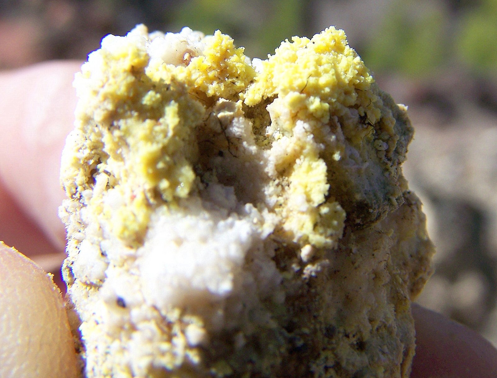 Azufre
4 cm
(Autor: canada)