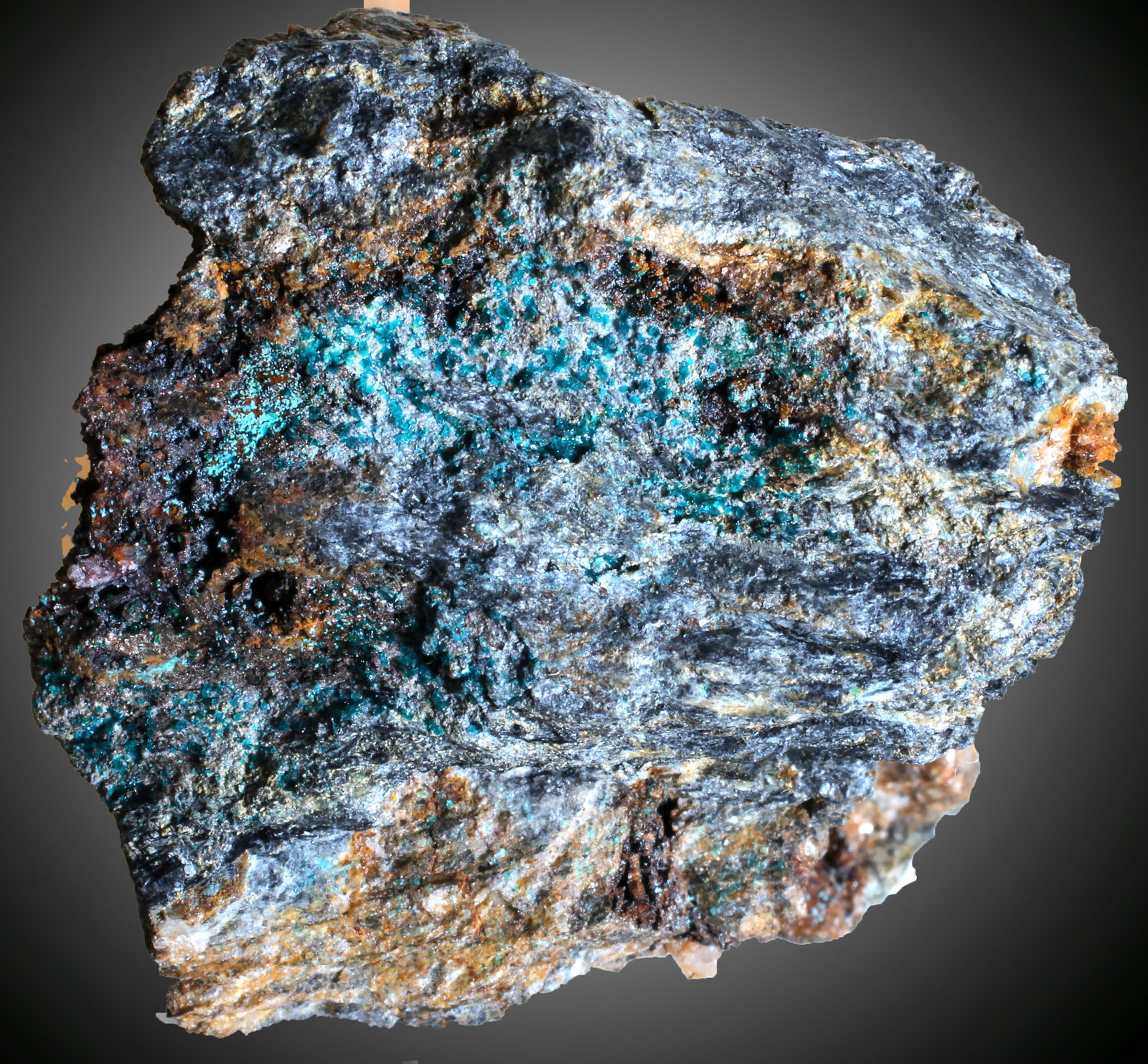 Spangolita
26 x 25 x 16 mm.
(Autor: José Luis Zamora)