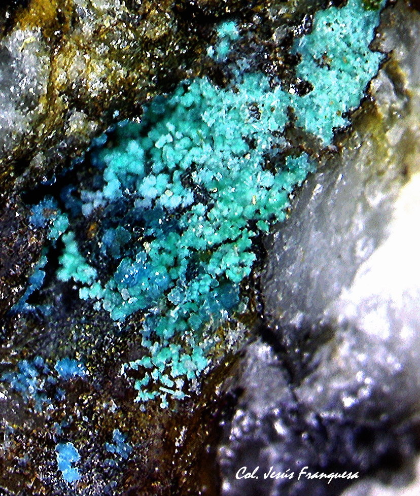 Spangolita.
2´253 x 2´227 mm.
(Autor: Jesus Franquesa Baucells)