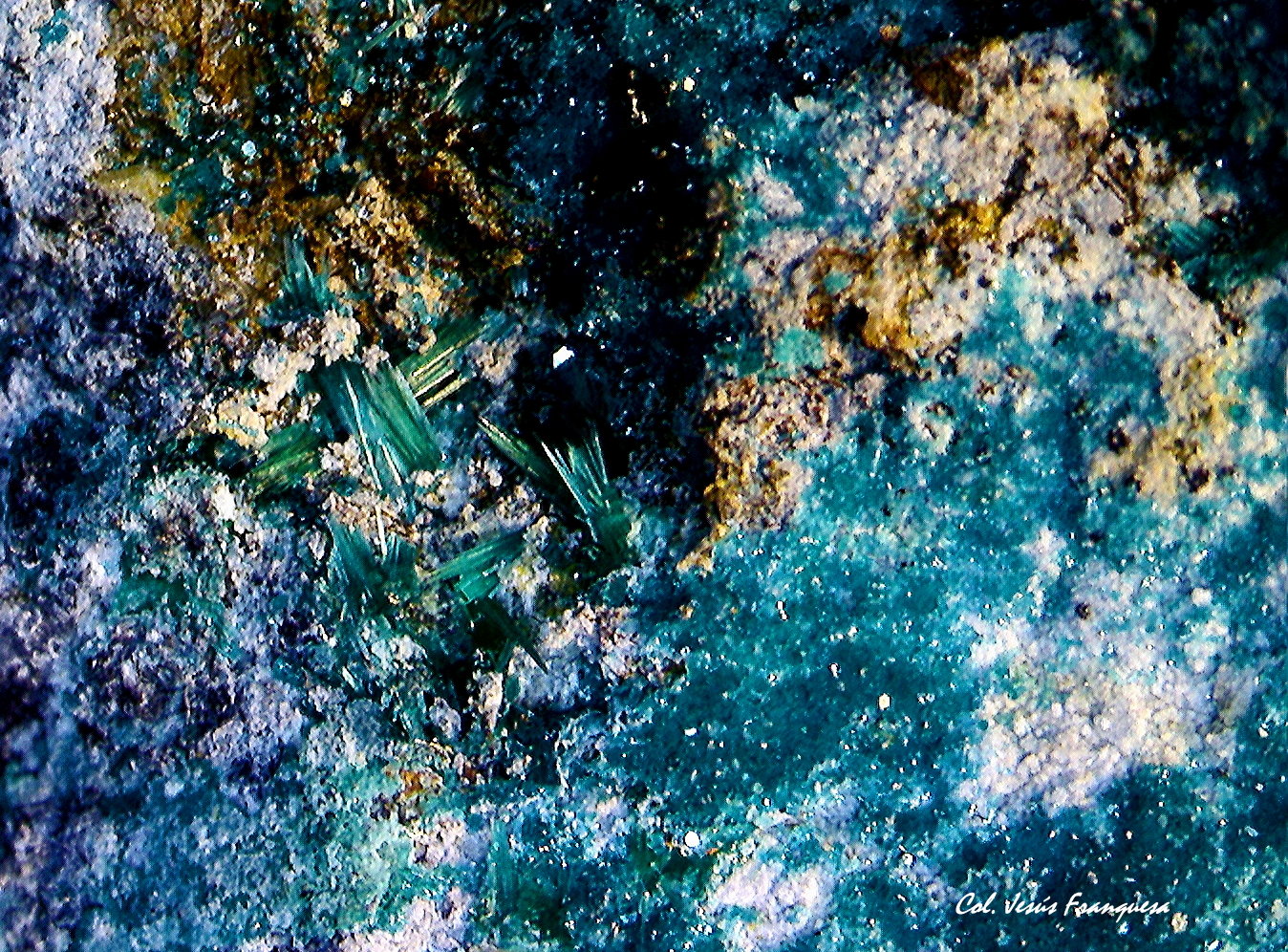 Spangolita y Brochantita.
5´023 x 4´068 mm.
(Autor: Jesus Franquesa Baucells)