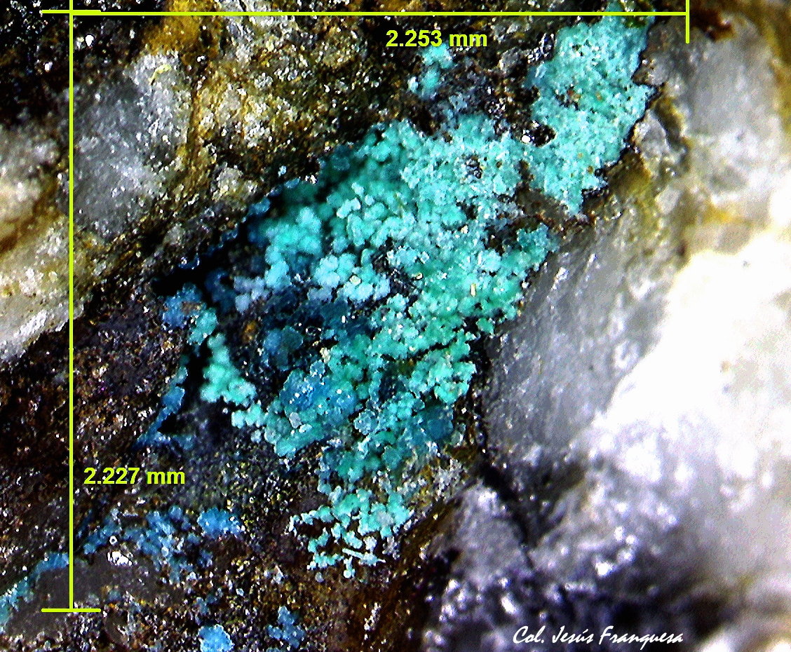 Spangolita.
2´253 x 2´227 mm.
(Autor: Jesus Franquesa Baucells)