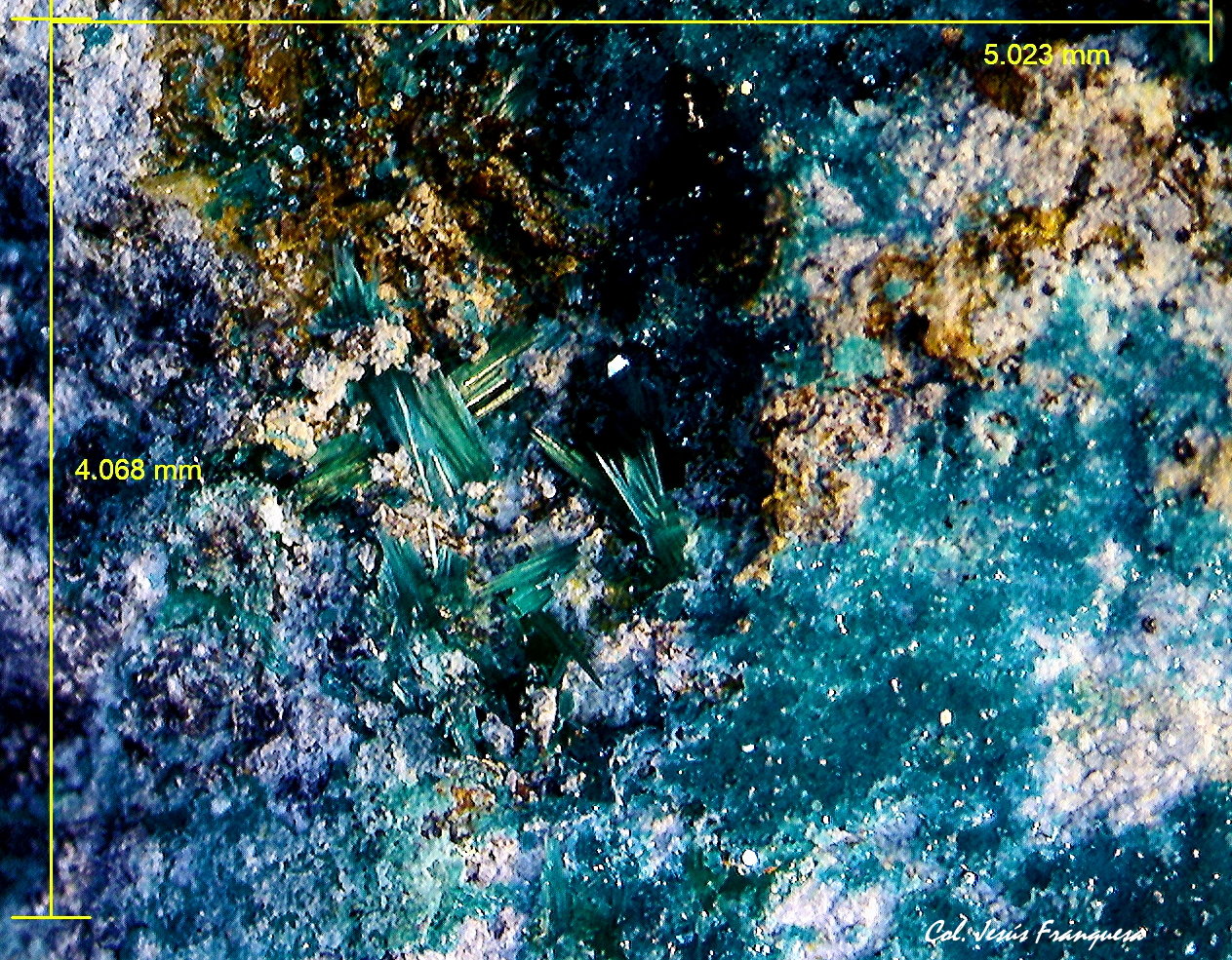 Spangolita y Brochantita.
5´023 x 4´068 mm.
(Autor: Jesus Franquesa Baucells)