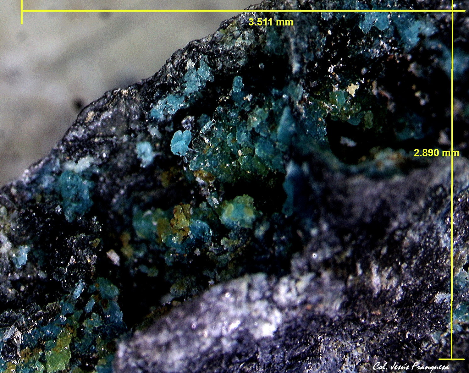 Spangolita.
3´511 x 2´890 mm.
(Autor: Jesus Franquesa Baucells)
