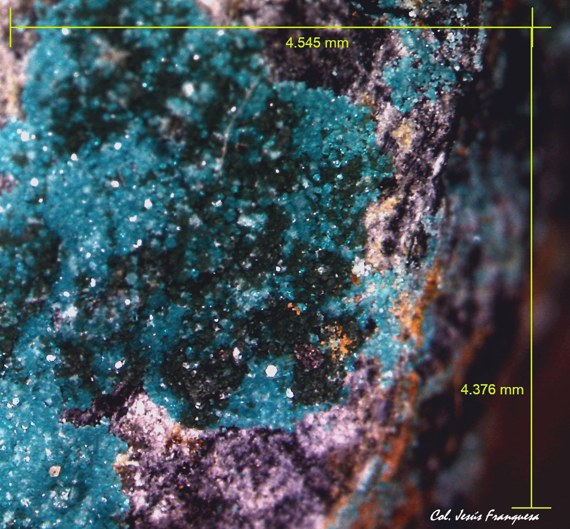 Spangolita.
4´545 x 4´376 mm.
(Autor: Jesus Franquesa Baucells)