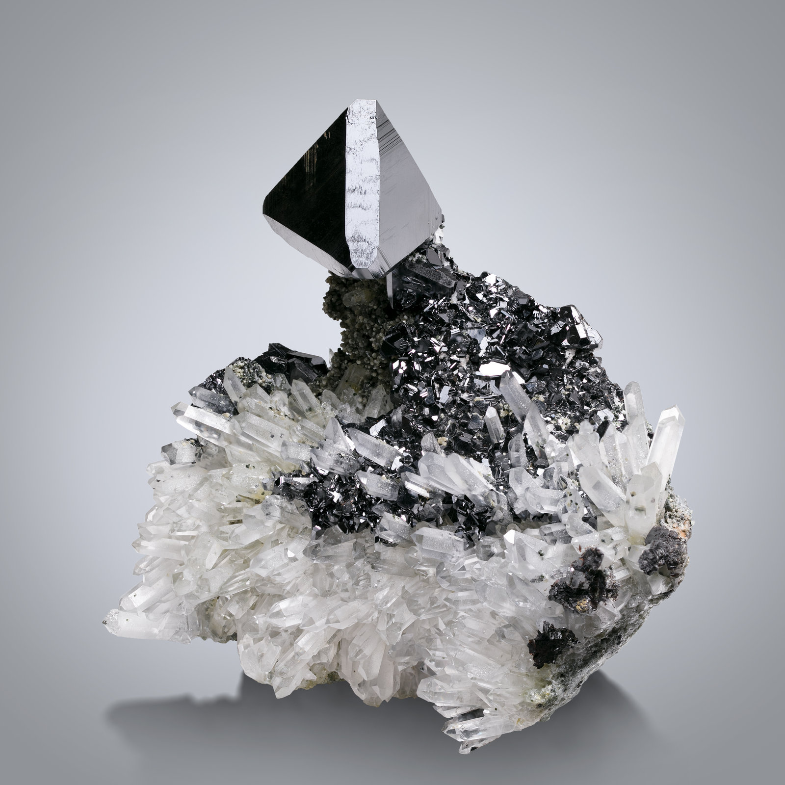 Esfalerita (variedad marmatita) con Cuarzo y Galena
11 x 8 x 9 cm / Cristal principal: 2.7 cm.
(Autor: Museo MIM)