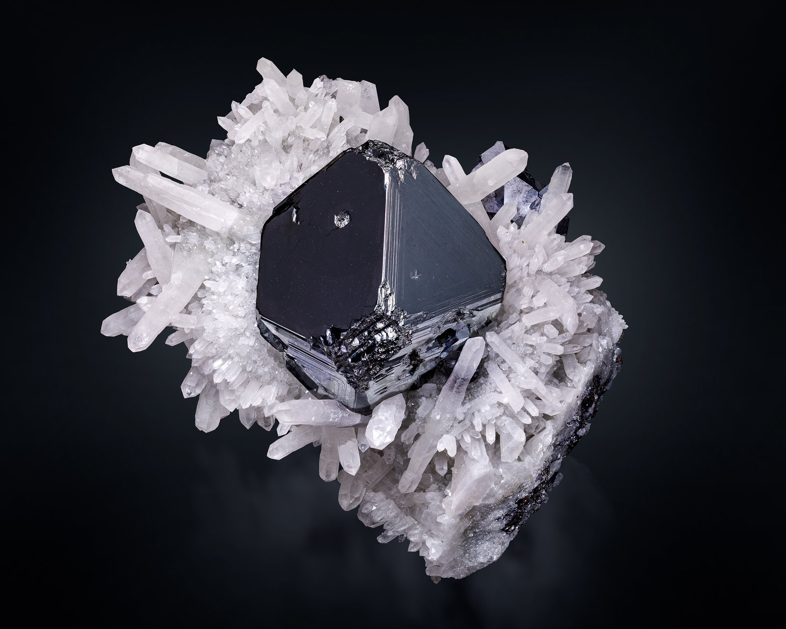 Esfalerita (variedad marmatita) en Cuarzo
13 x 11 x 9 cm / cristal principal: 5.7 cm
(Autor: Museo MIM)