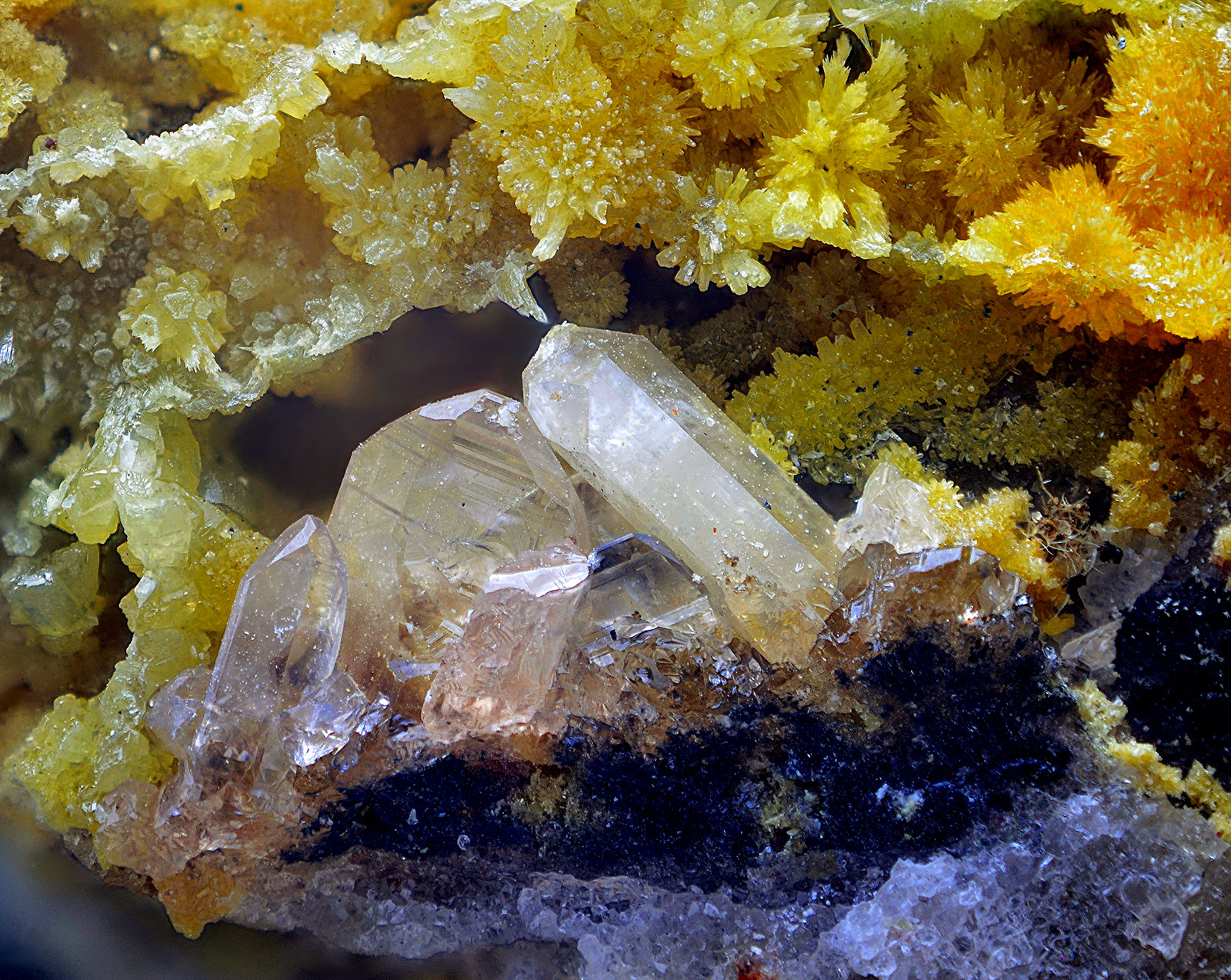 Cerusita y Mimetita
Campo de visión de 10 mm
(Autor: Antonio Carmona)