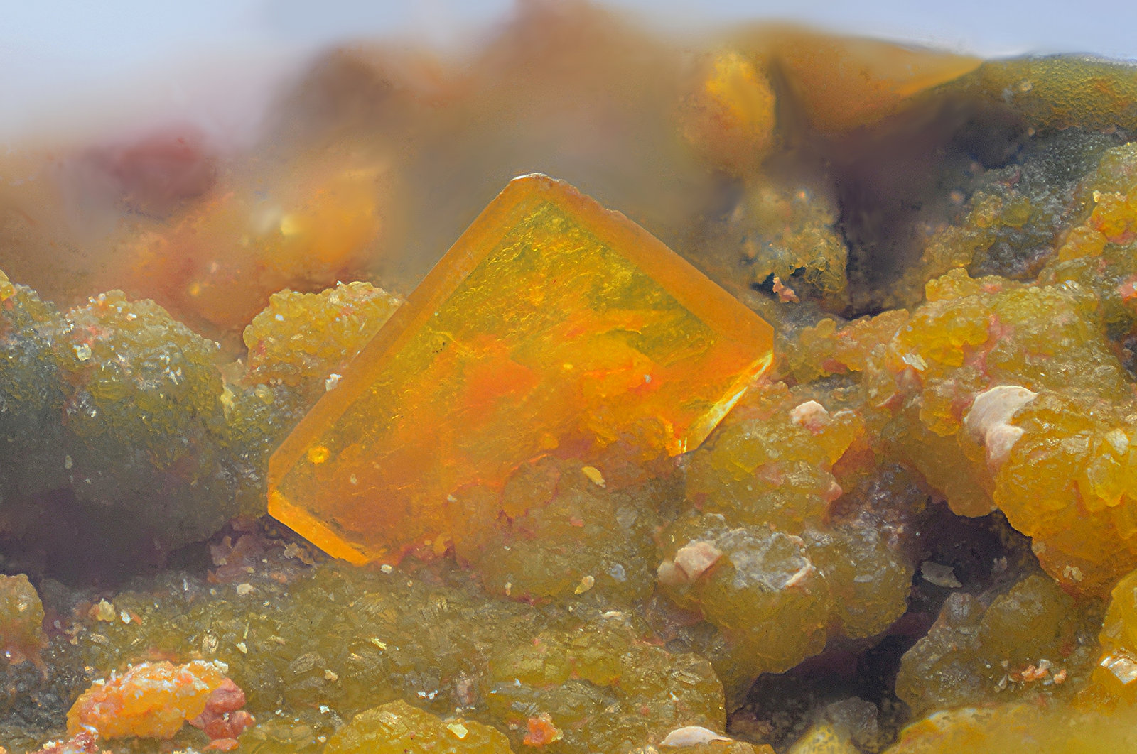 Wulfenita
Campo de visión de 10 mm
(Autor: Antonio Carmona)