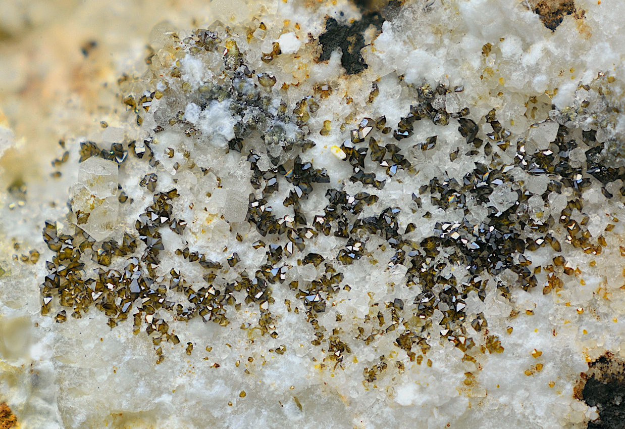 Descloizita
Campo de visión de 12 mm.
(Autor: Antonio Carmona)