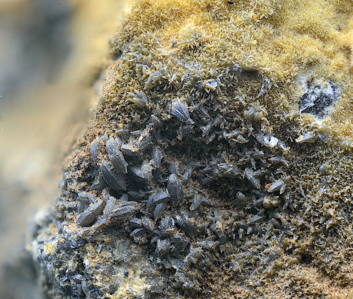 Vanadinita
Campo de visión de 5 mm.
(Autor: Antonio Carmona)