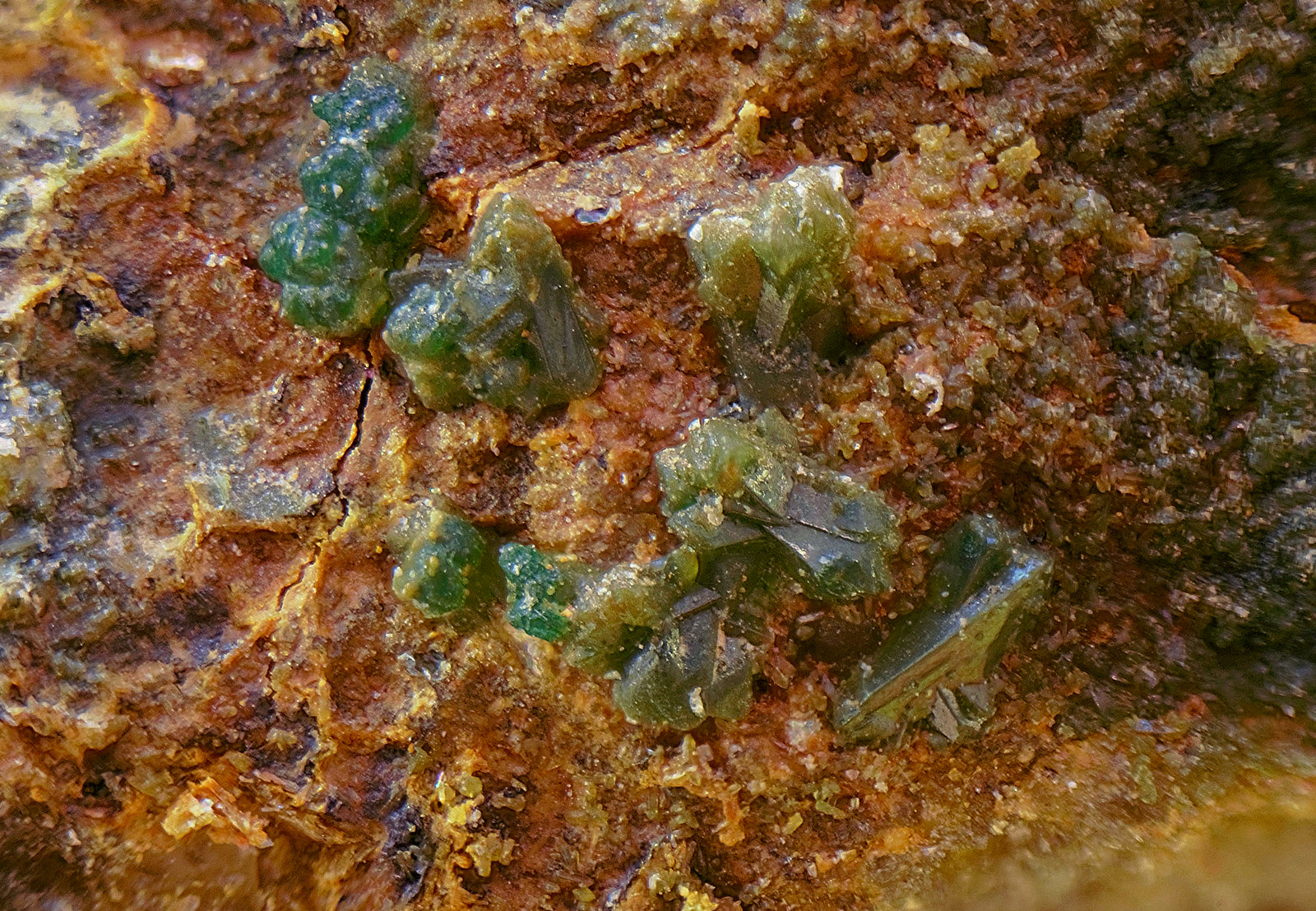 Libethenita
Campo de visión de 3 mm
(Autor: Antonio Carmona)