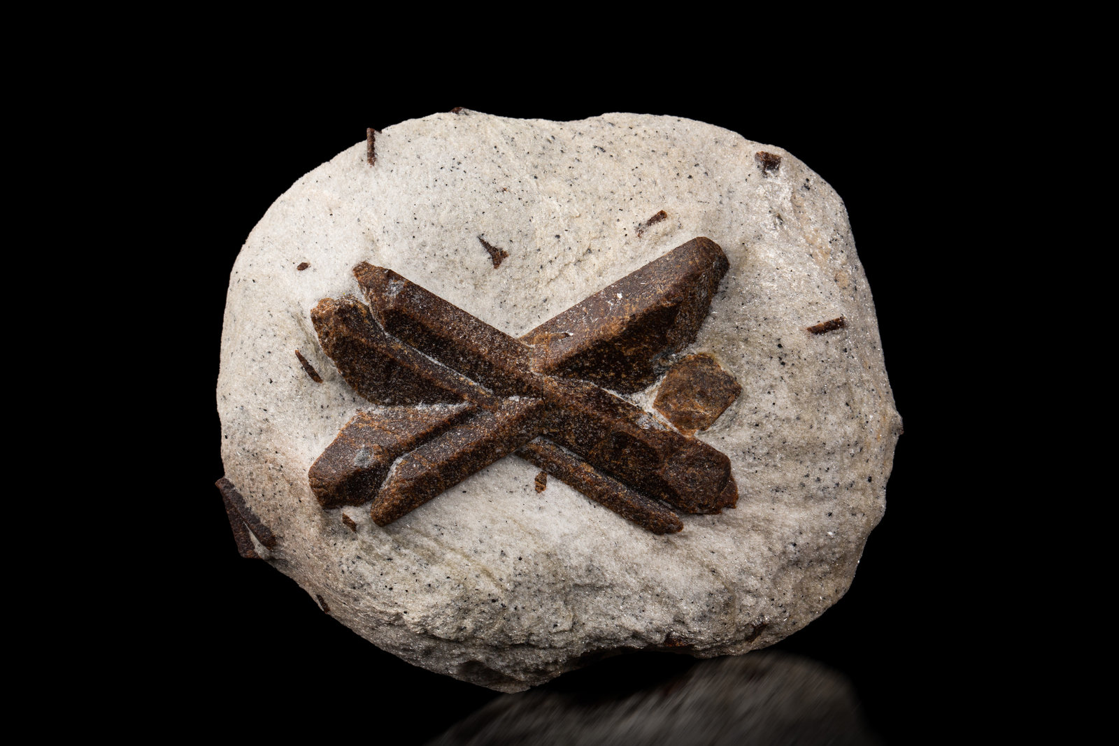 Estaurolita [Staurolite]
10.5 x 9 x 4 cm / cristal principal: 7 cm
(Autor: Museo MIM)