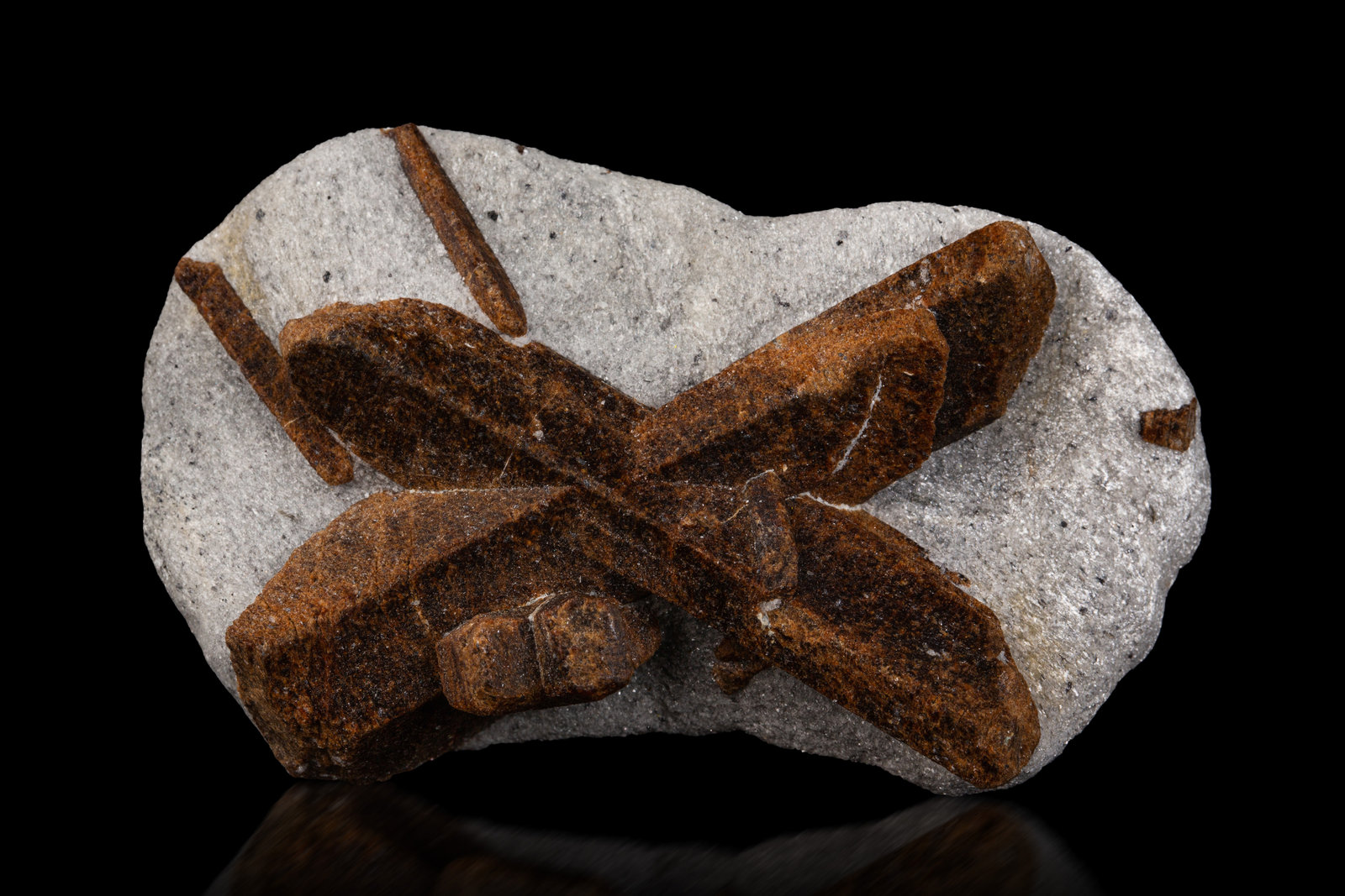 Estaurolita [Staurolite]
9.5 x 5.5 x 3 cm / cristal principal: 7.7 cm
(Autor: Museo MIM)