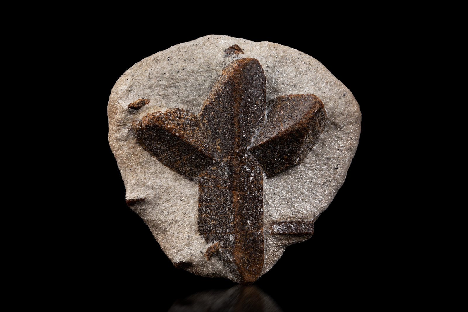 Estaurolita [Staurolite]
7 x 7 x 3 cm / cristal principal: 6.1 cm
(Autor: Museo MIM)