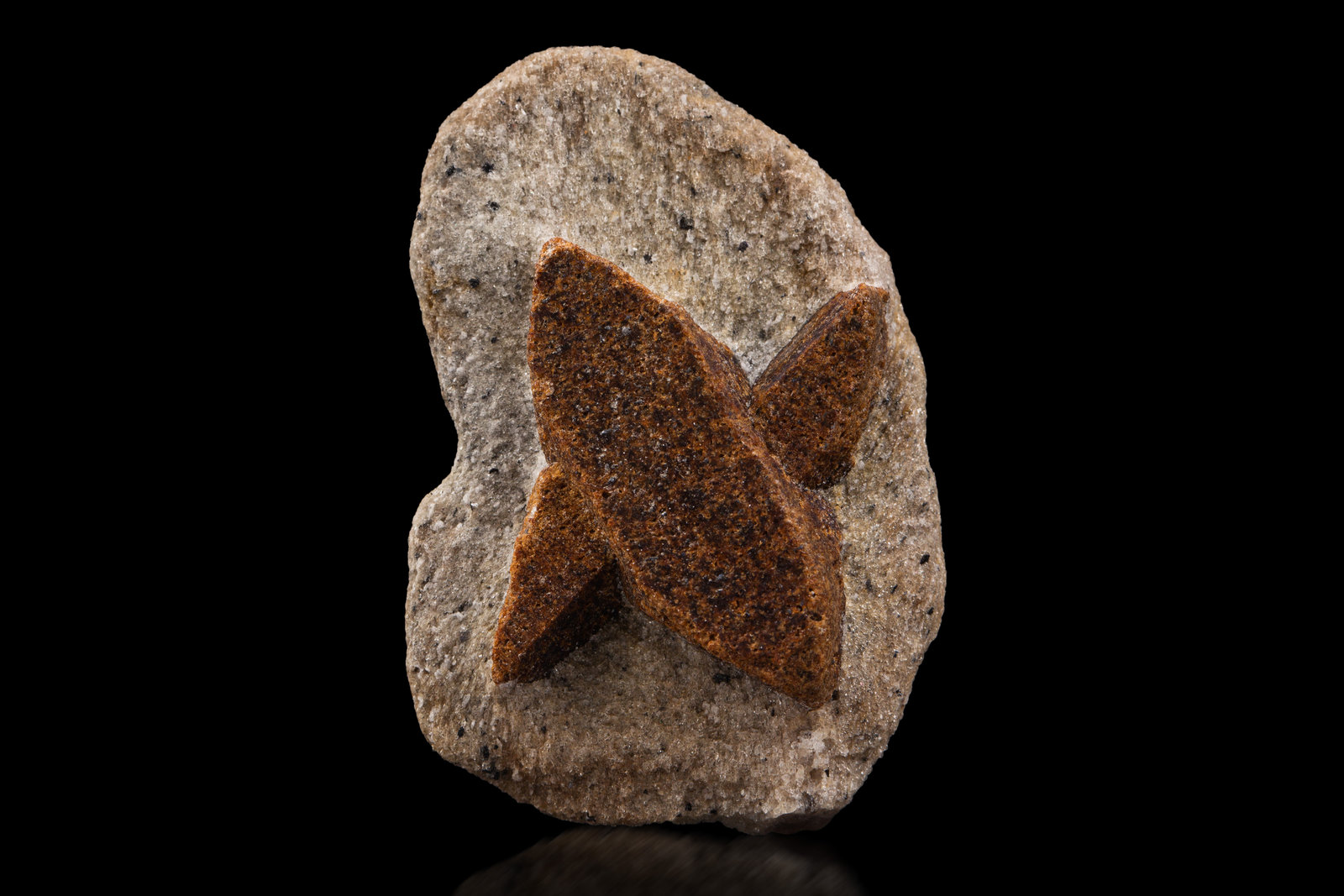 Estaurolita [Staurolite]
6 x 4 x 2 cm / cristal principal: 4  cm
(Autor: Museo MIM)