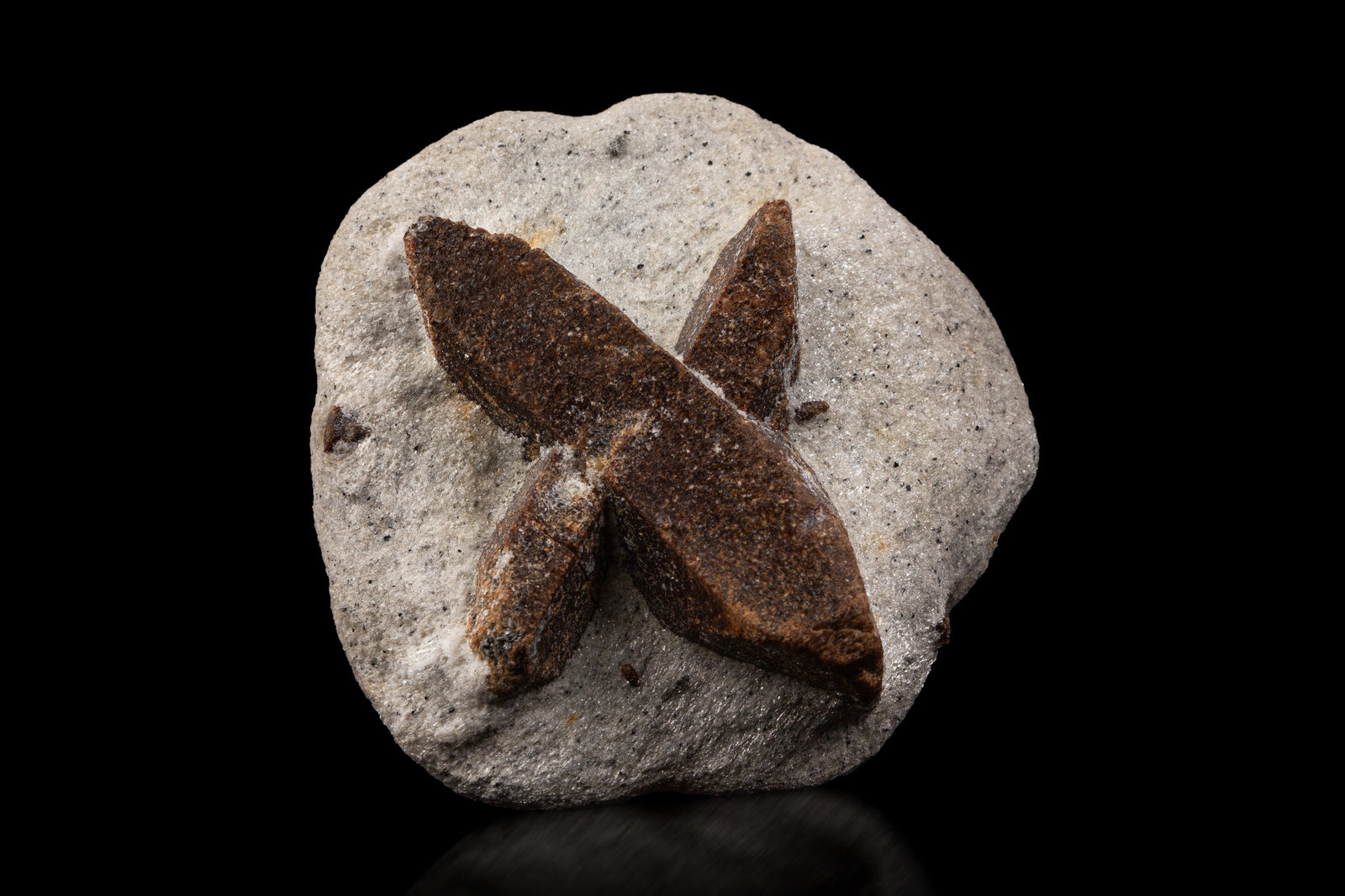 Estaurolita [Staurolite]
7.5 x 7.5 x 4 cm / cristal principal: 6.6 cm
(Autor: Museo MIM)