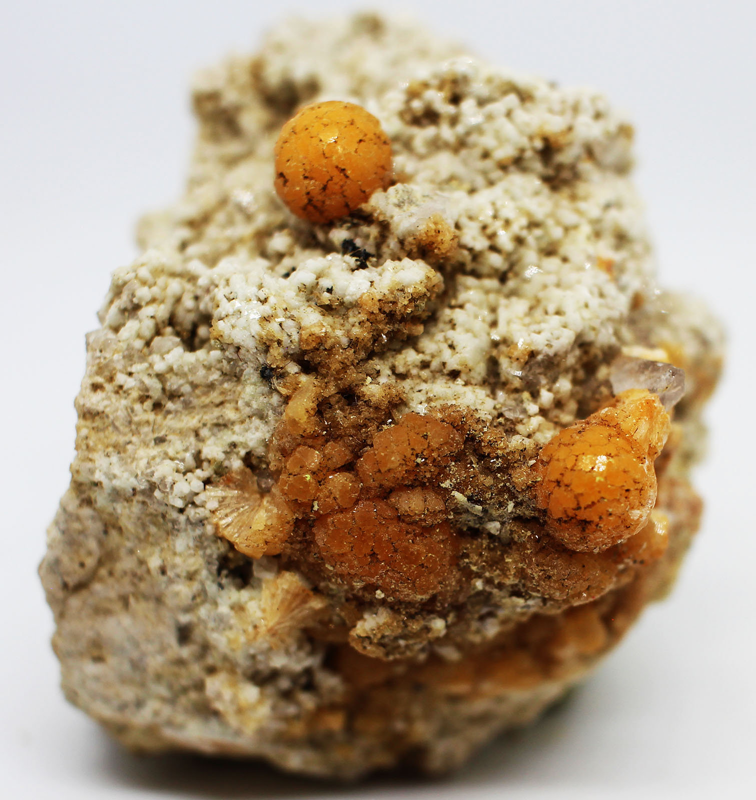 Stellerita
5x3x3 cm
(Autor: Luis Edmundo Sánchez Roja)