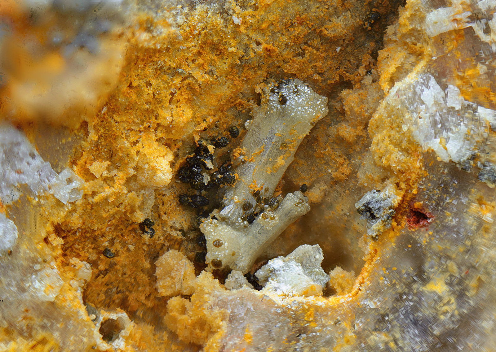 Vanadinita y descloizita
Campo de visión de 5 mm
(Autor: Antonio Carmona)