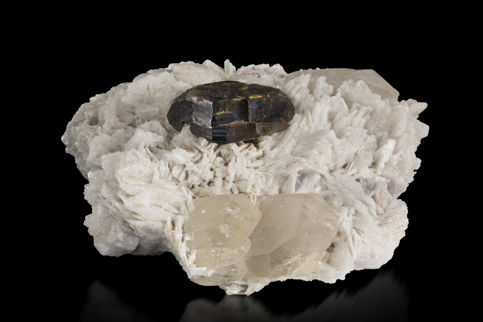 Stibiotantalita en Albita y con Cuarzo
8 x 7 x 5 cm / cristal principal: 2.8 cm
(Autor: Museo MIM)