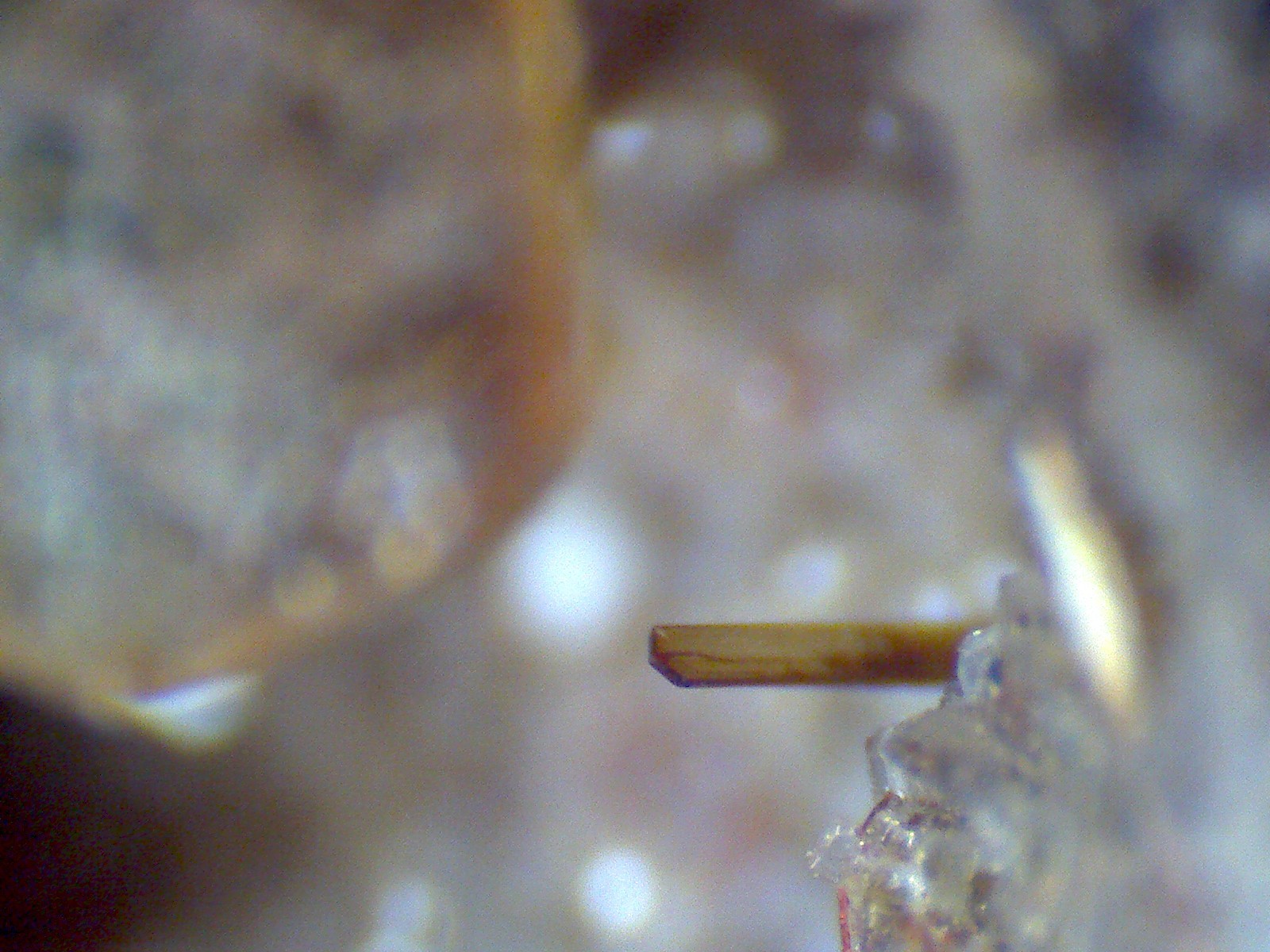 Lamproita: micros de las vacuolas
150X
(Autor: prcantos)