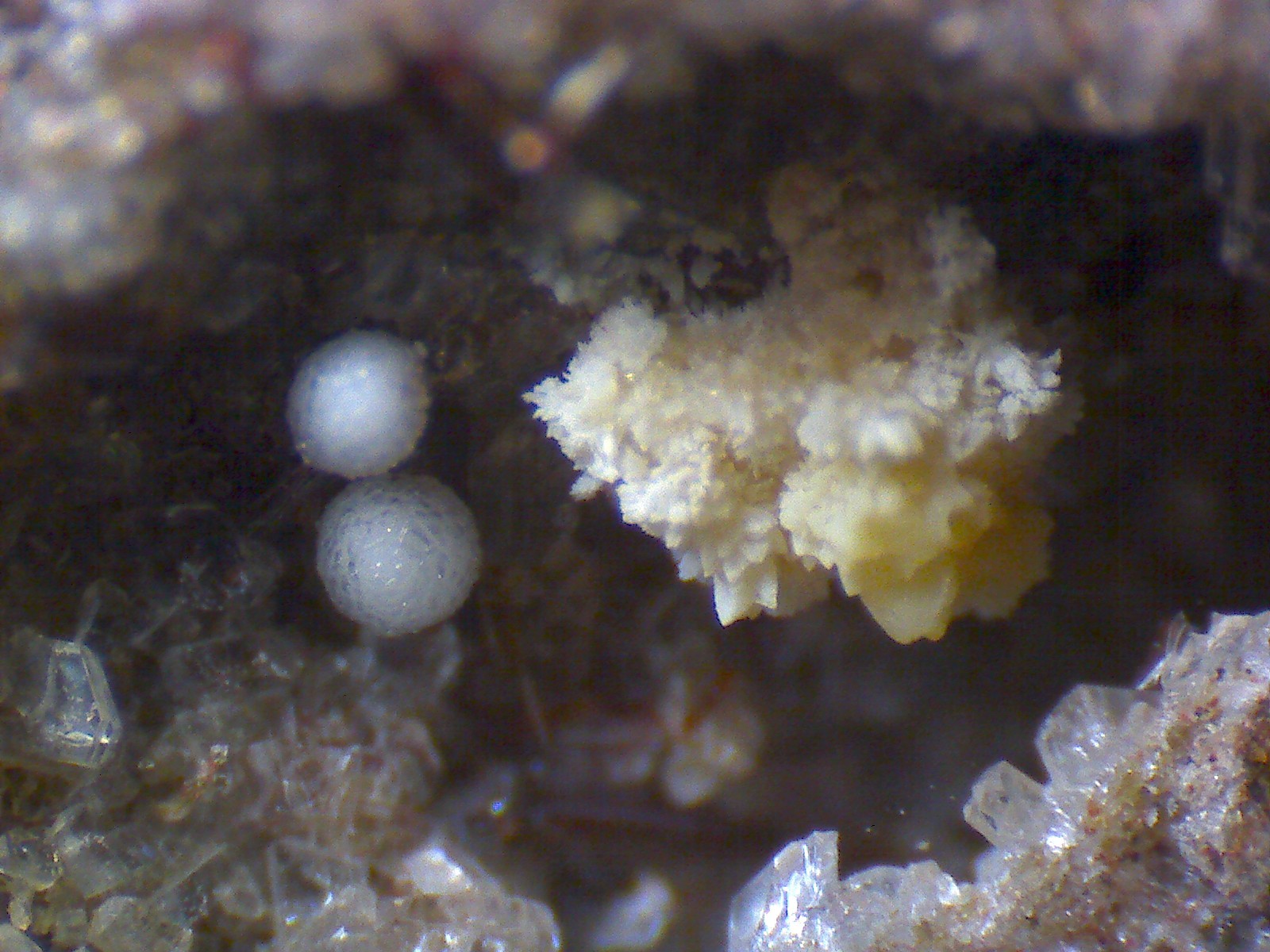 Lamproita: micros de las vacuolas
150X
(Autor: prcantos)
