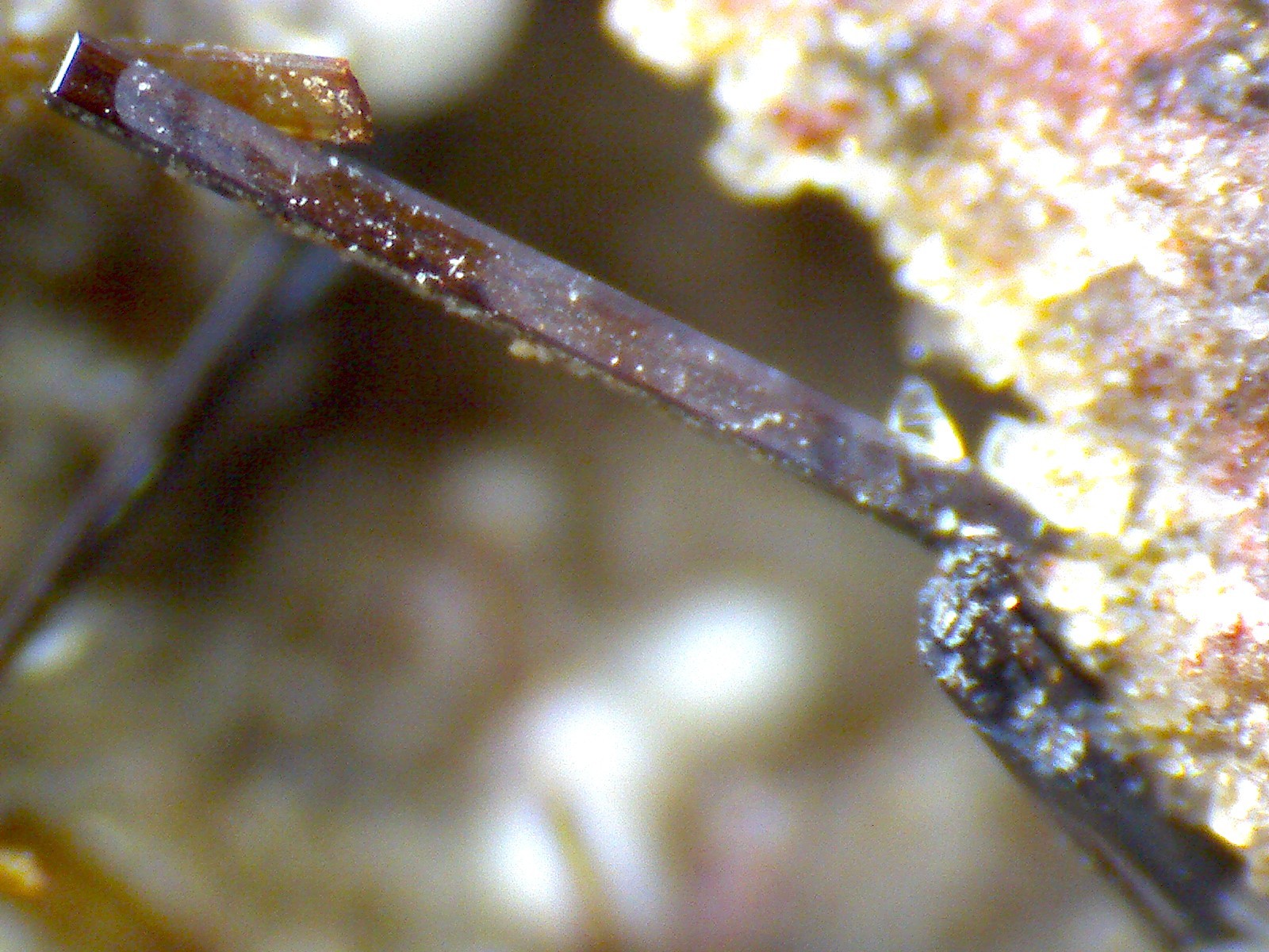 Lamproita: micros de las vacuolas
150X
(Autor: prcantos)