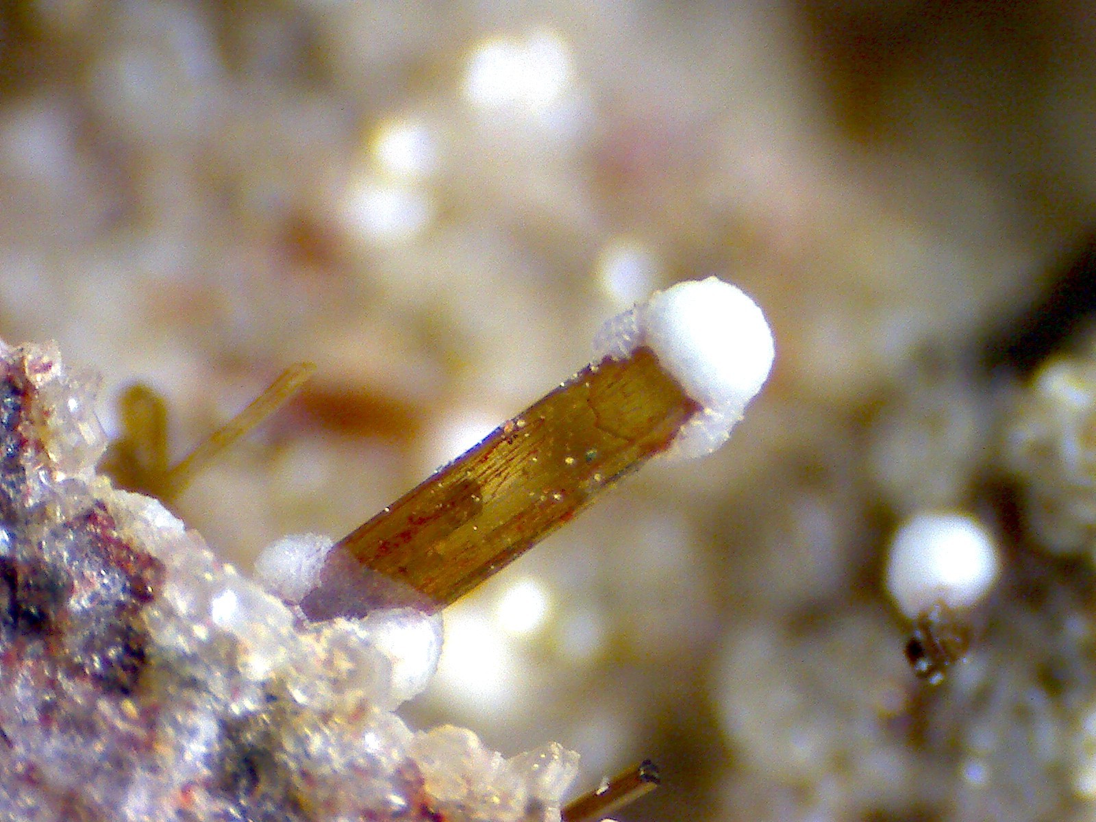 Lamproita: micros de las vacuolas
150X
(Autor: prcantos)