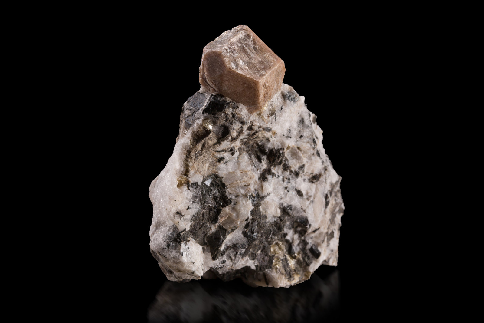 Stillwellita-(Ce)
7 x 3 x 8 cm / Cristal principal: 2.3 cm
(Autor: Museo MIM)