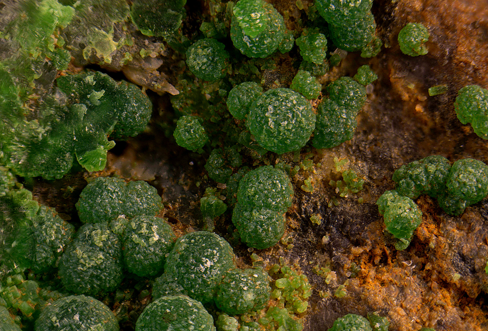 Conicalcita
Campo de visión de 2 mm.
(Autor: Antonio Carmona)