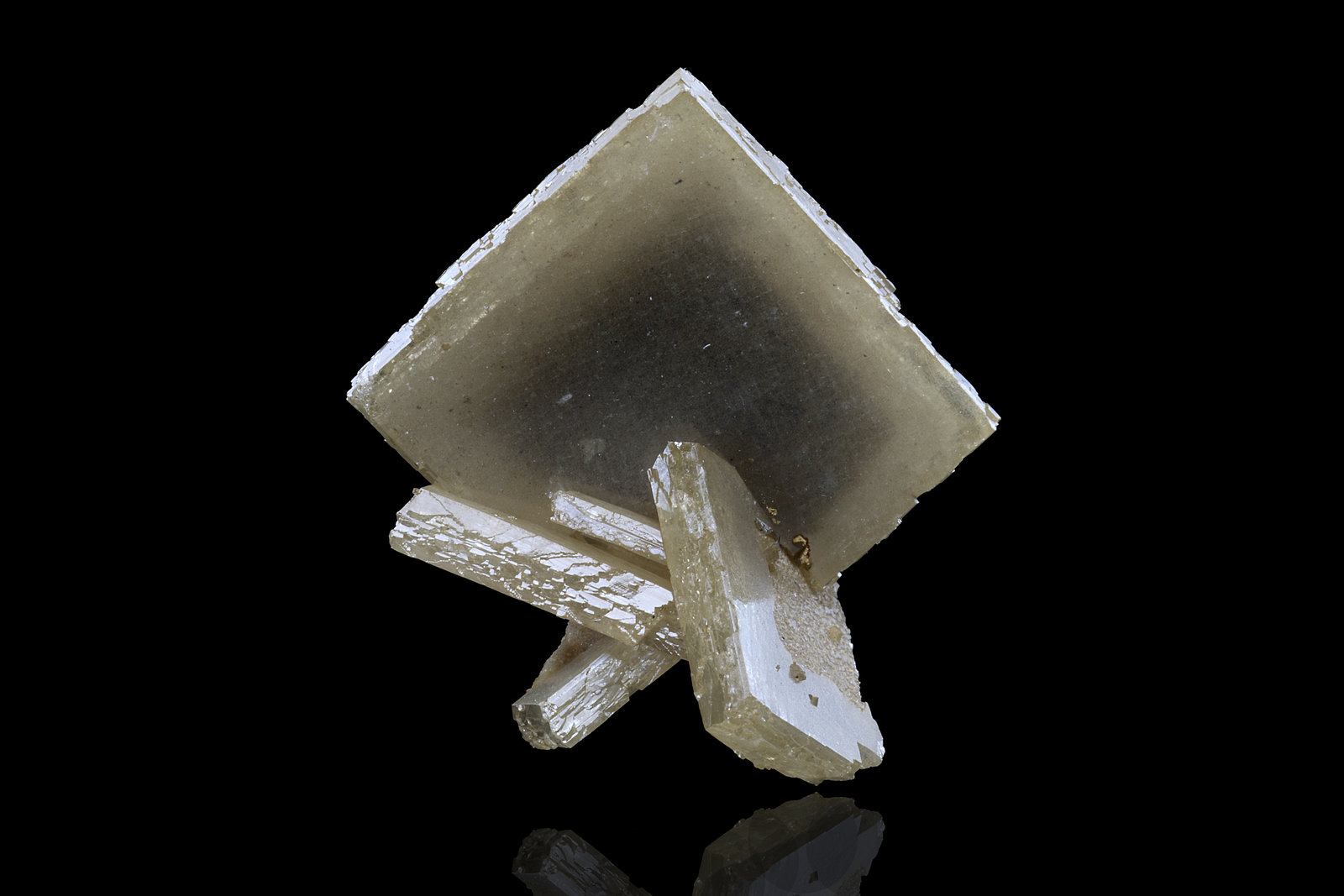 Stolzita
2.5 x 2 x 2.5 cm / cristal principal: 2.4 cm
(Autor: Museo MIM)