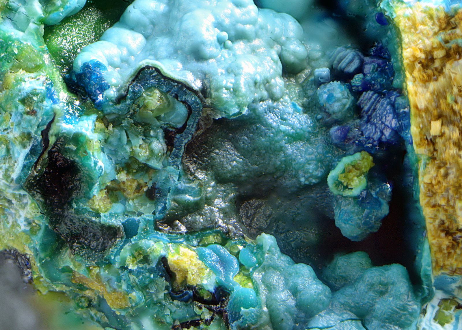 Strashimirita y azurita
Campo de visión de 2 mm.
(Autor: Antonio Carmona)