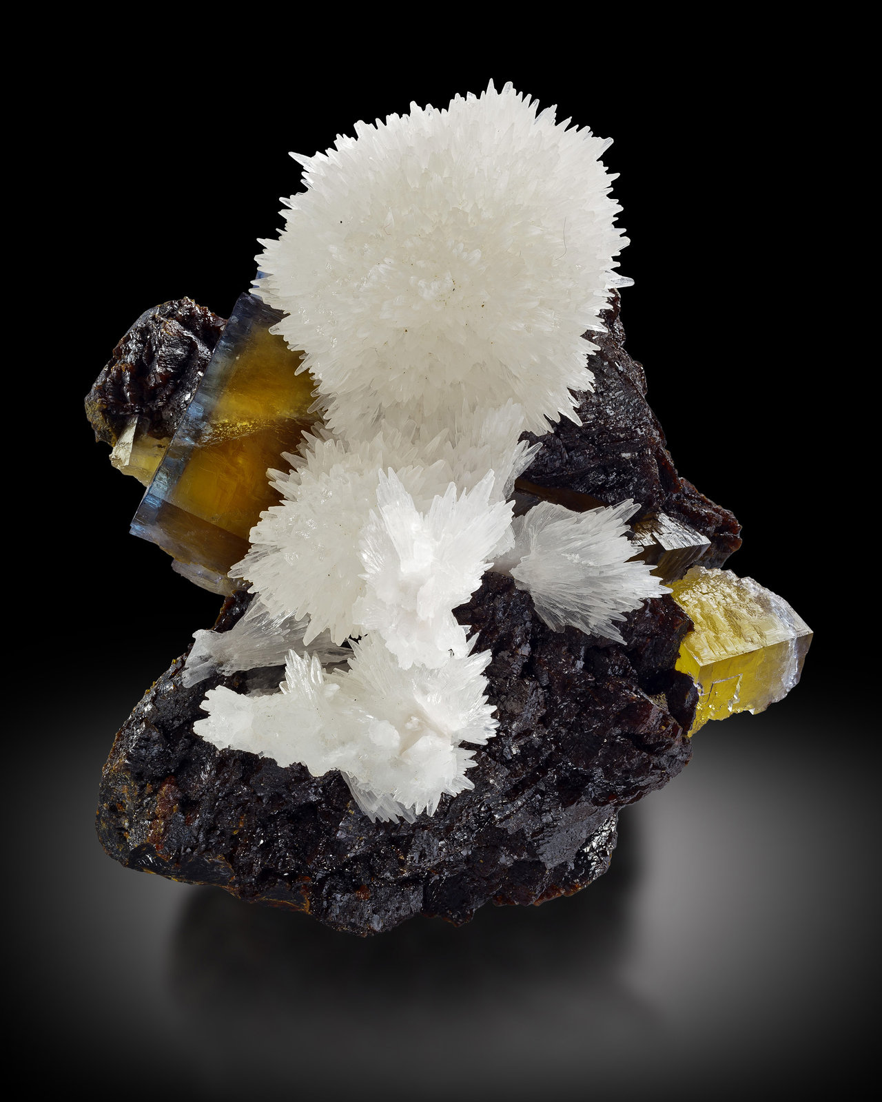 Strontianita, Fluorita, Esfalerita
12.5 x 10 x 8.5 cm
(Autor: Museo MIM)