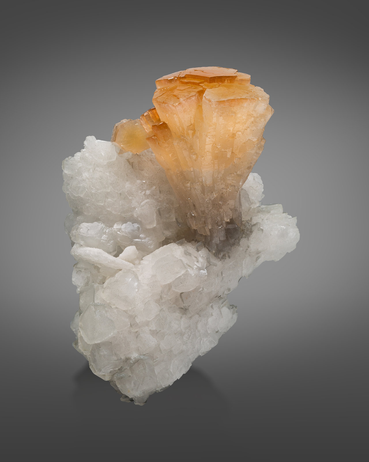 Estroncianita [Strontianite]
7 x 3.5 x 9 cm / cristal principal: 5.2 cm
(Autor: Museo MIM)