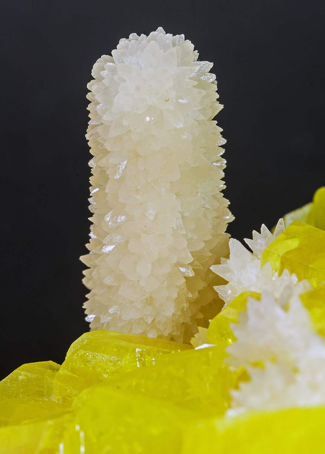 Calcita con Azufre
cristal principal: 2 × 1.9 cm
(Autor: Jordi Fabre)