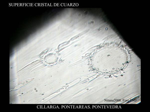 (Autor: Juan de Laureano)