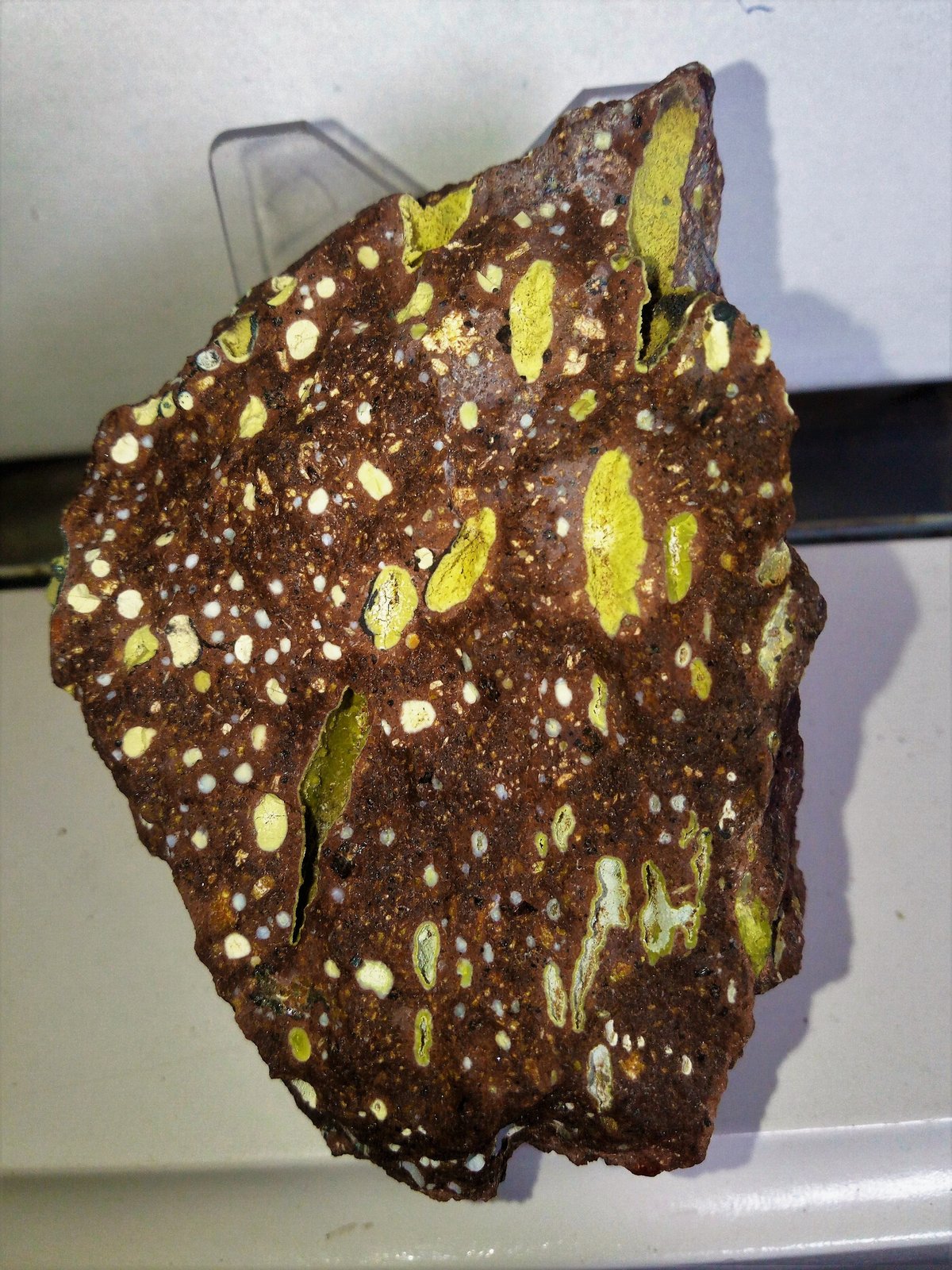 Nontronita (variedad nontronita cálcica)
8x6 cm.
(Autor: Adri Rodríguez)