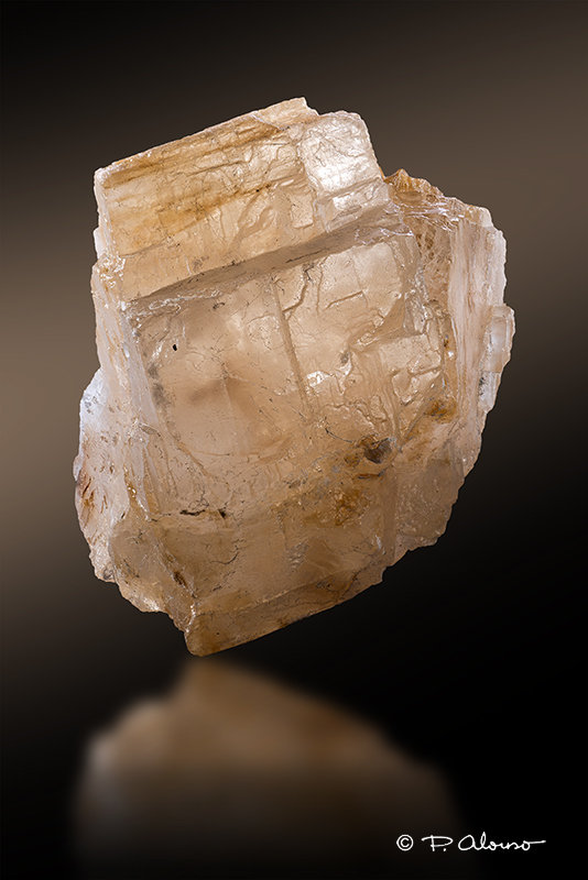 Sylvita
9cm x 11cm x 7cm
(Autor: Pere Alonso)