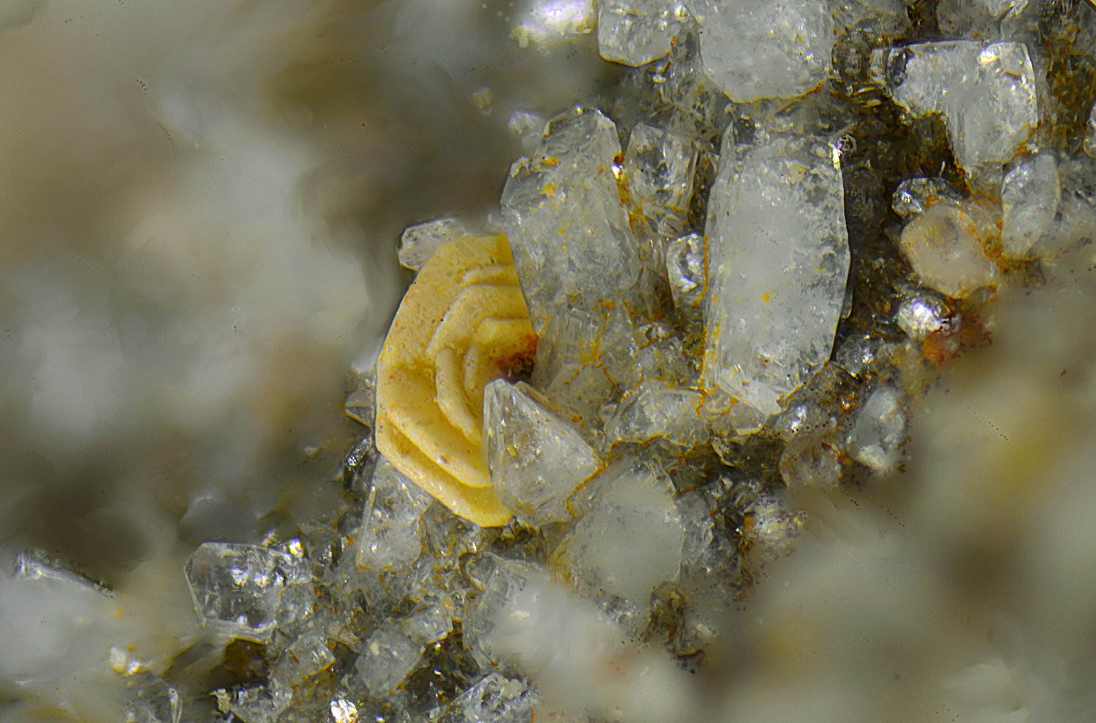 Synchysita-(Ce)
Campo de visión de 2 mm
(Autor: Antonio Carmona)